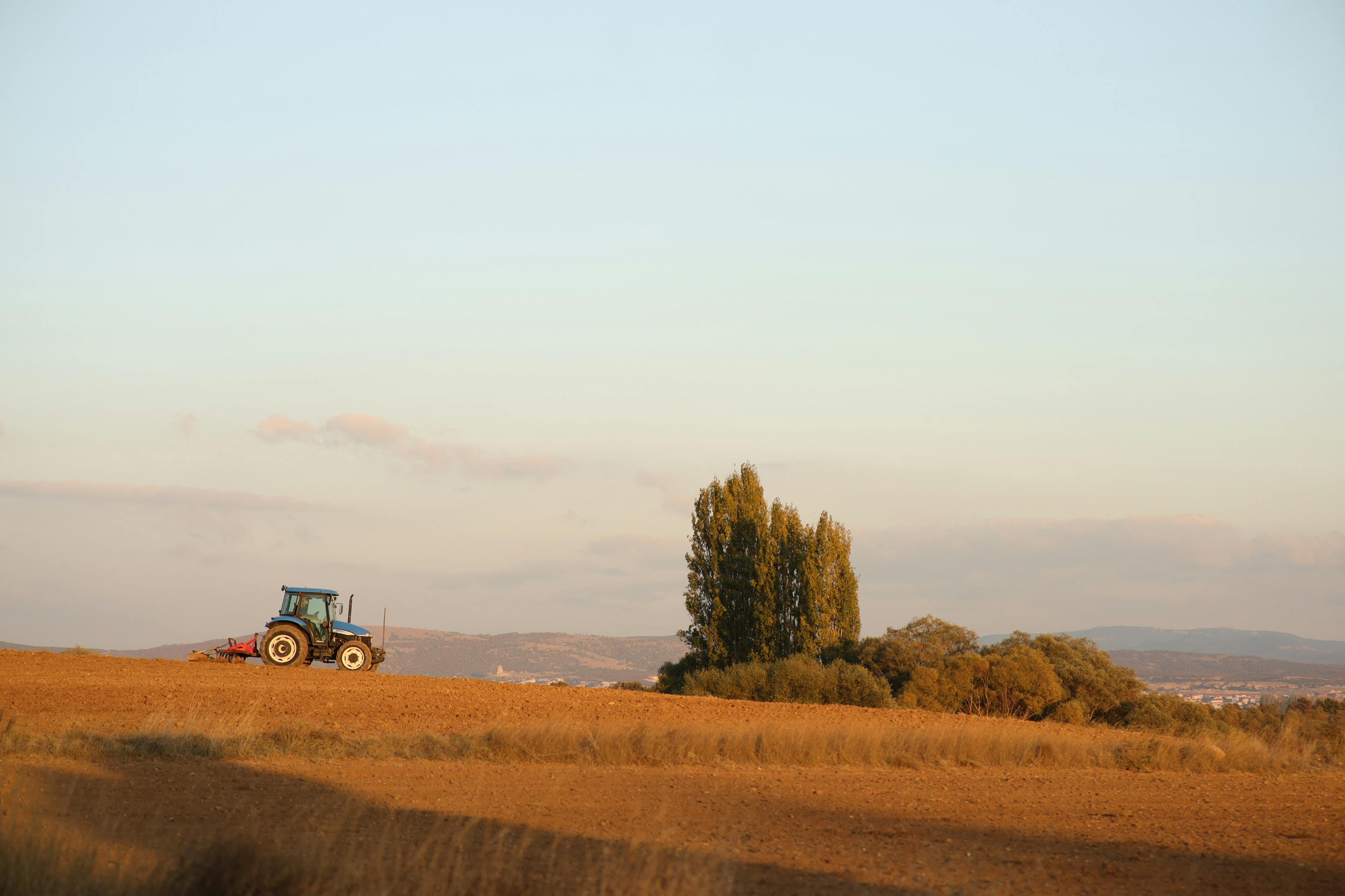 Farm
