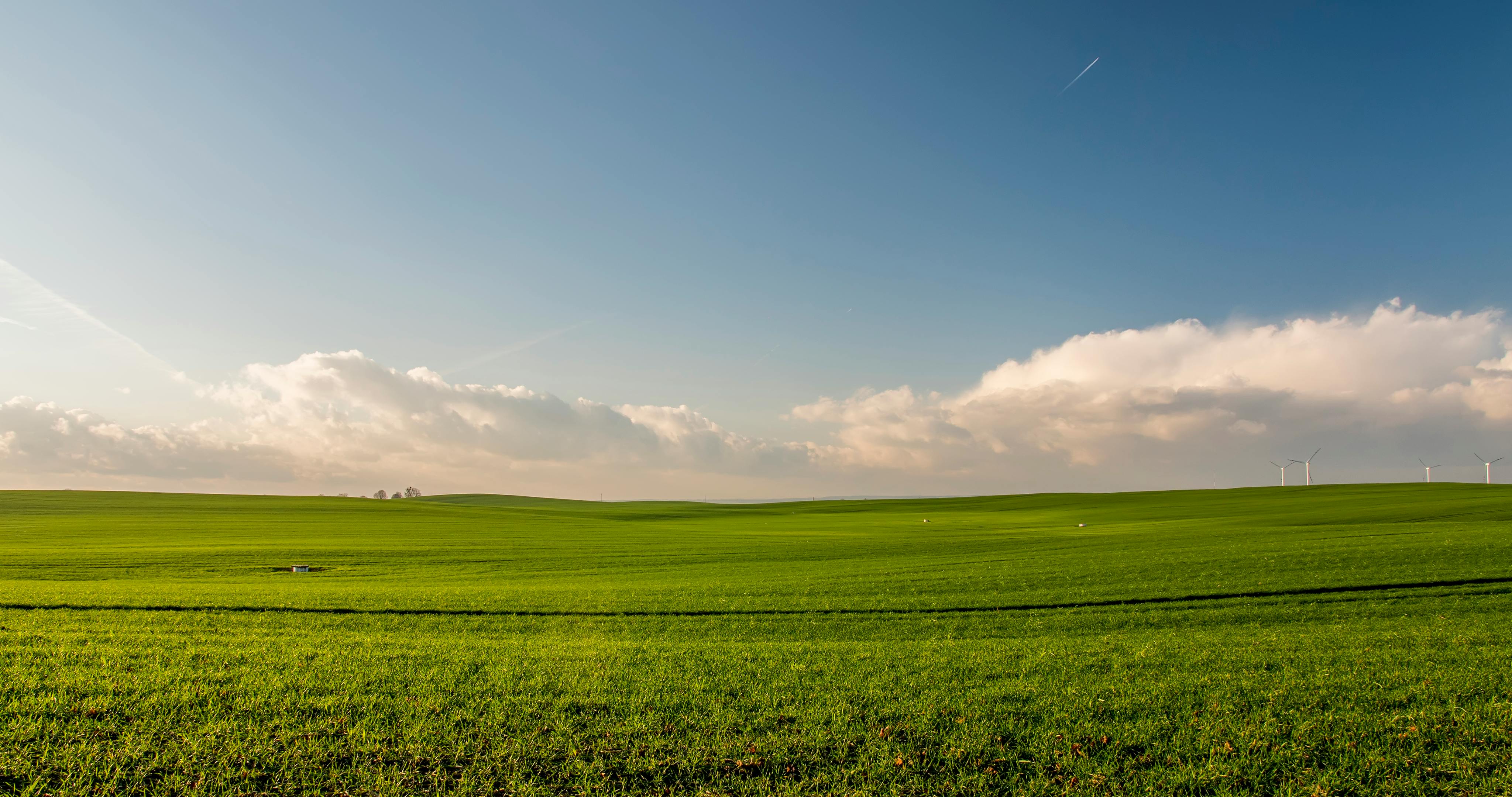 Land image 12