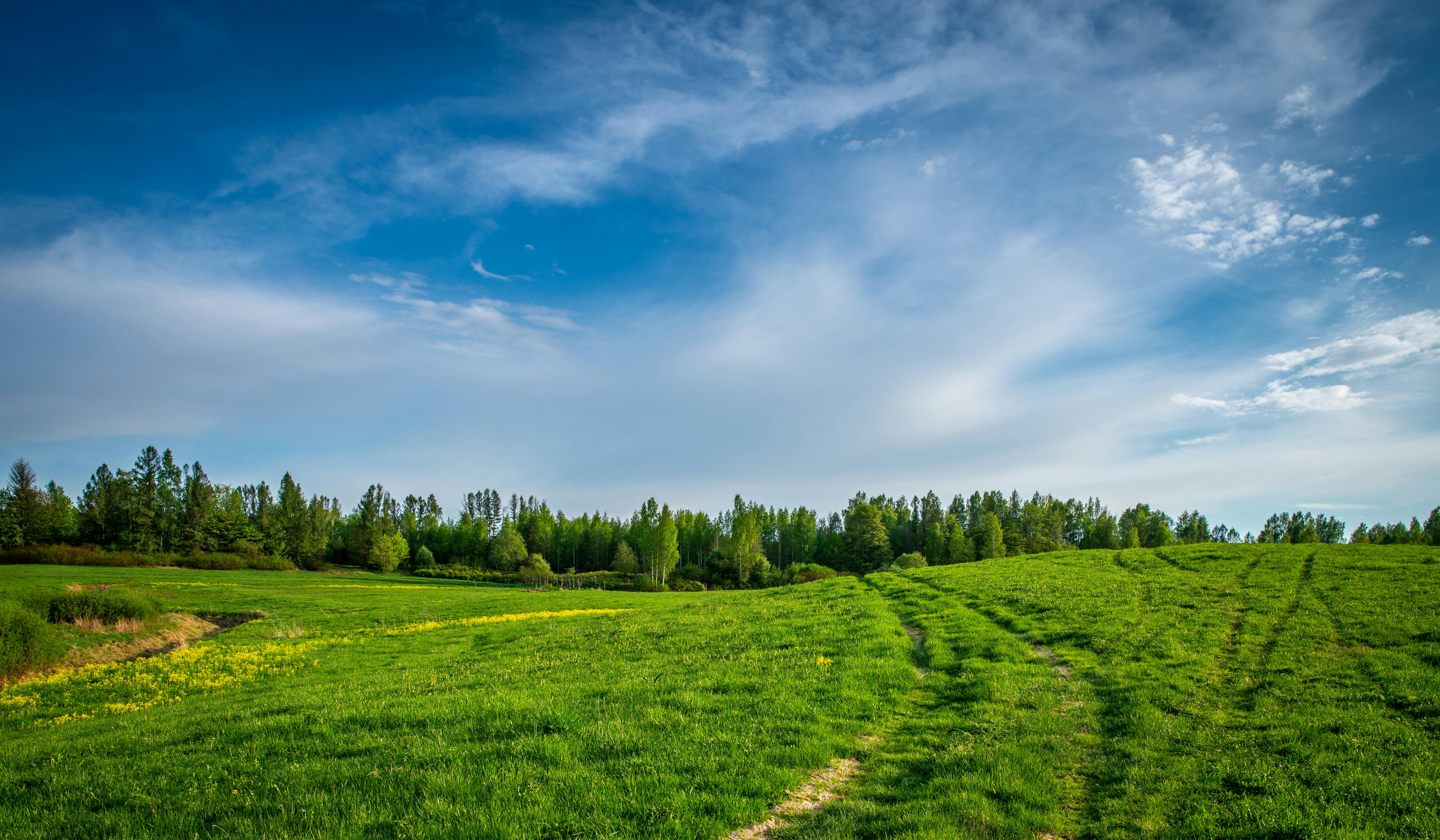 Land image 13